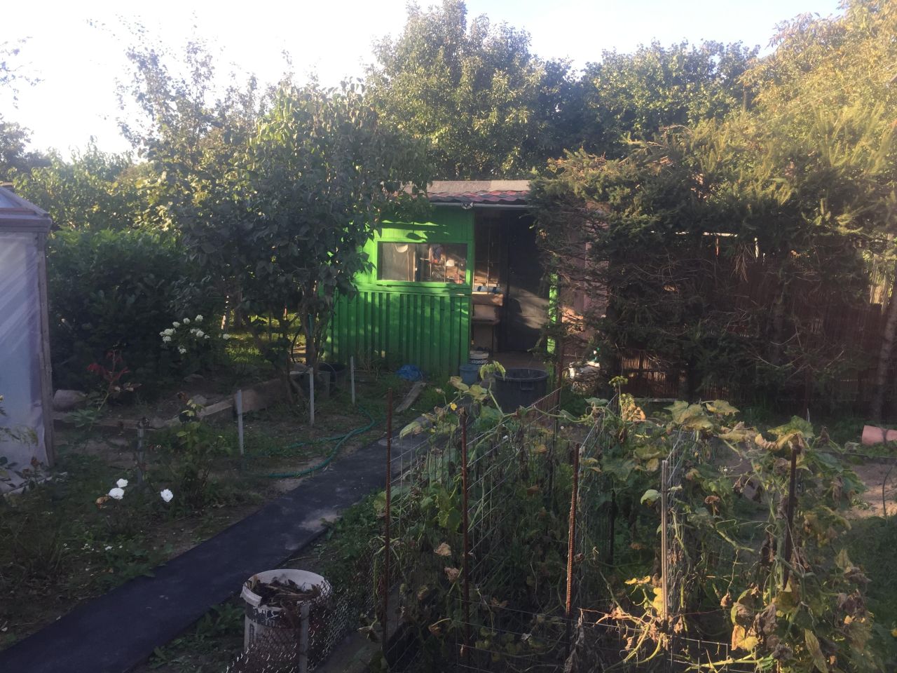 Działka rod Wrocław Osobowice, ul. Krotoszyńska. Zdjęcie 2