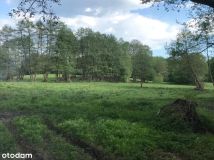 Działka rolna Rydzewo. Zdjęcie 2