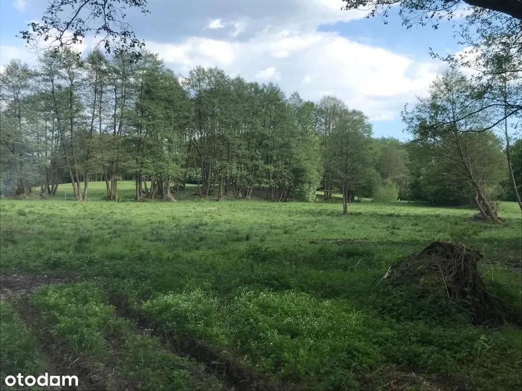 Działka rolna Rydzewo. Zdjęcie 3