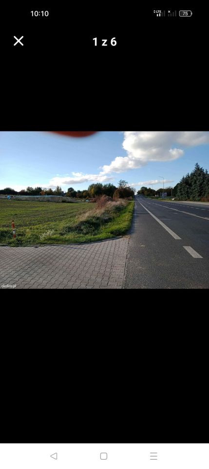 Działka inwestycyjna Dębówka. Zdjęcie 8