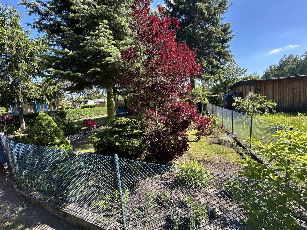 Działka rod Łódź Bałuty, ul. Sianokosy. Zdjęcie 2