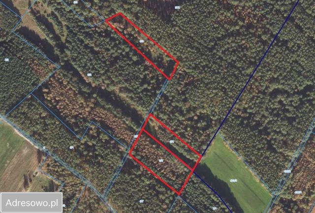 Działka leśna Bierzów. Zdjęcie 1