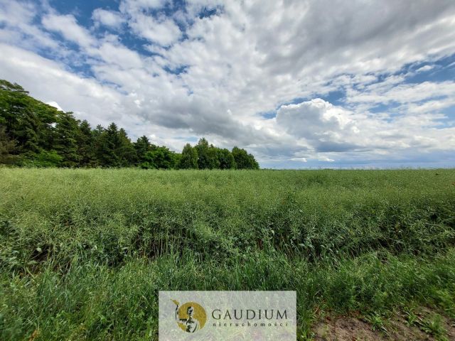 Działka Borkowo Lęborskie. Zdjęcie 4