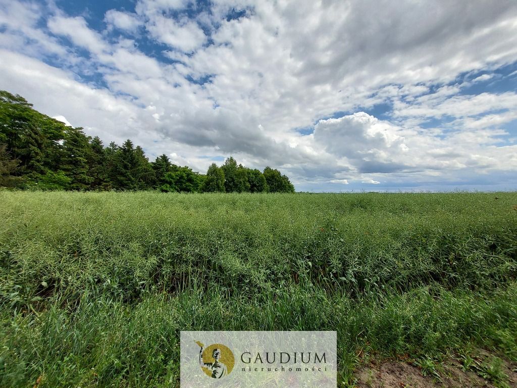 Działka Borkowo Lęborskie. Zdjęcie 4