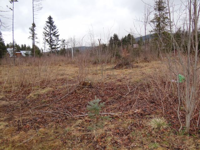 Działka rolno-budowlana Kościelisko Chotarz, ul. Nędzy-Kubińca. Zdjęcie 2