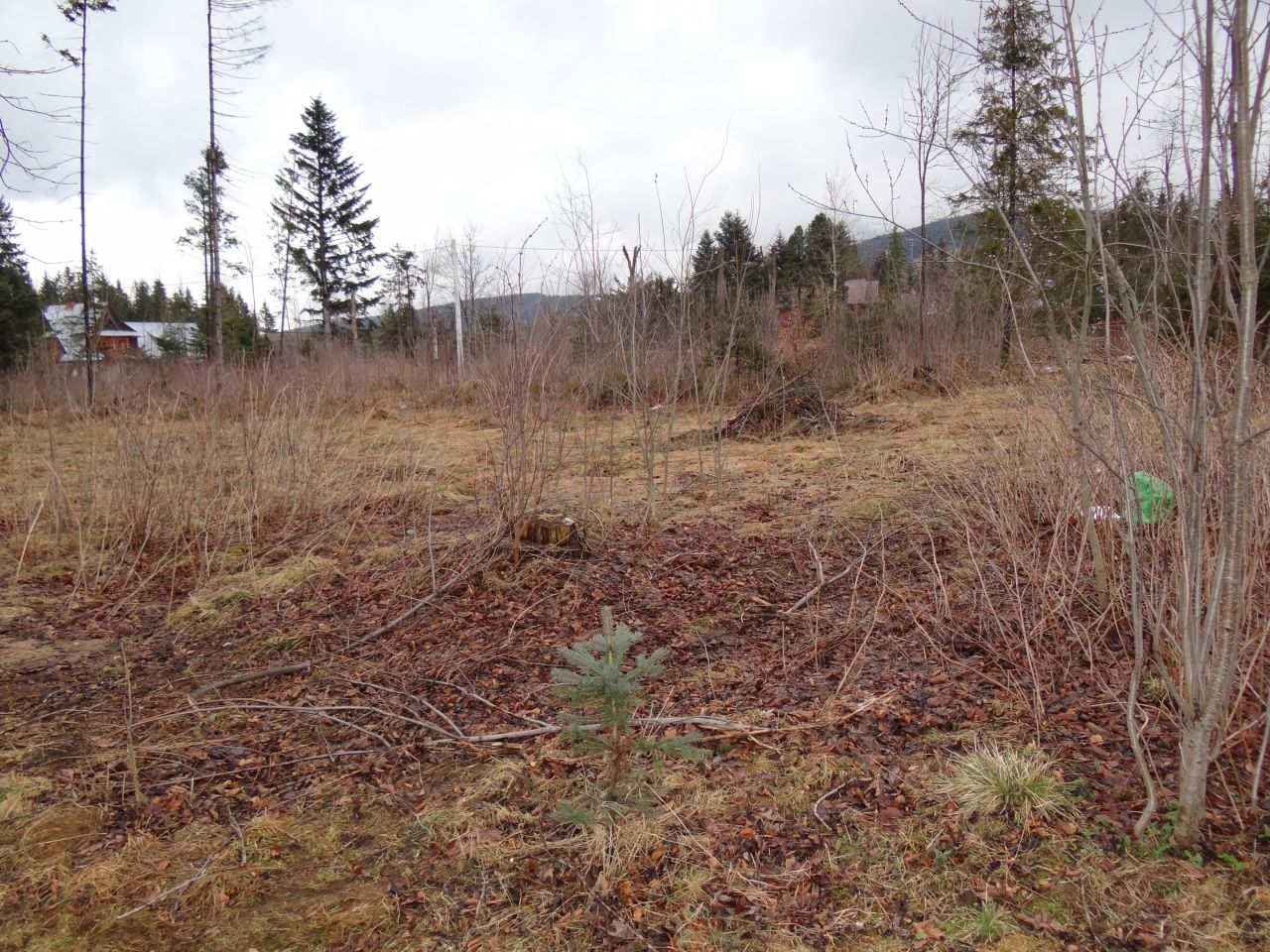 Działka budowlana Kościelisko Chotarz, ul. Nędzy-Kubińca. Zdjęcie 2