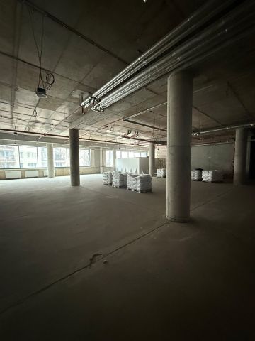 Lokal Szczecin Centrum. Zdjęcie 7