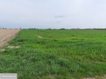 Działka inwestycyjna Mieszki-Różki. Zdjęcie 2