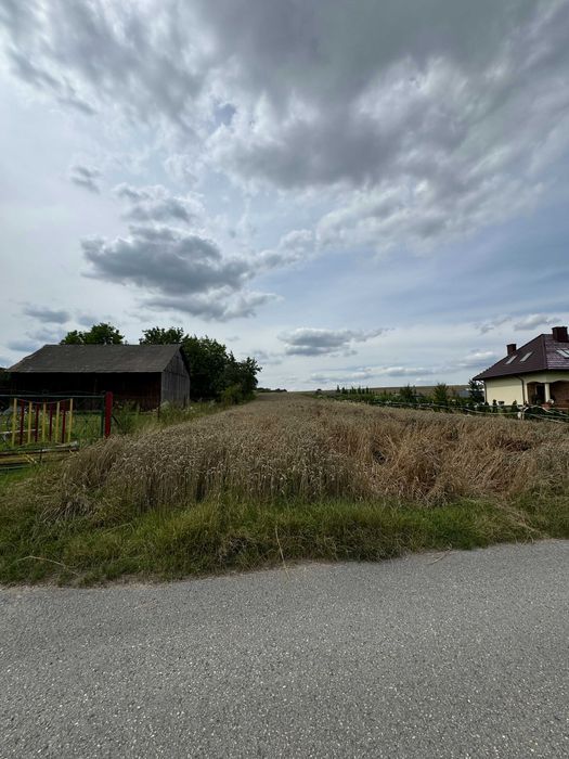 Działka budowlana Wola Więcławska. Zdjęcie 5