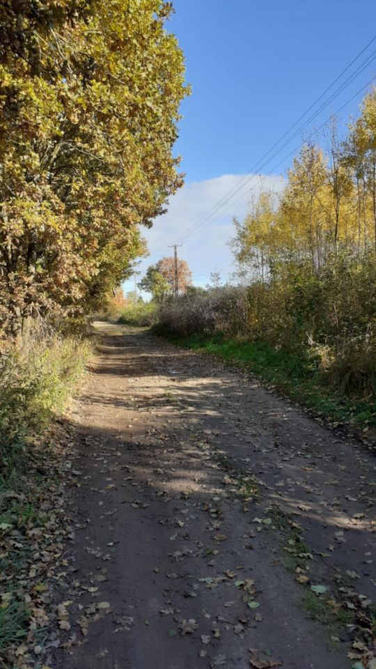 Działka rolno-budowlana Łubowo, ul. Polna. Zdjęcie 2