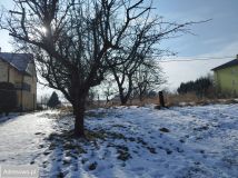 Działka budowlana Chrosna. Zdjęcie 2