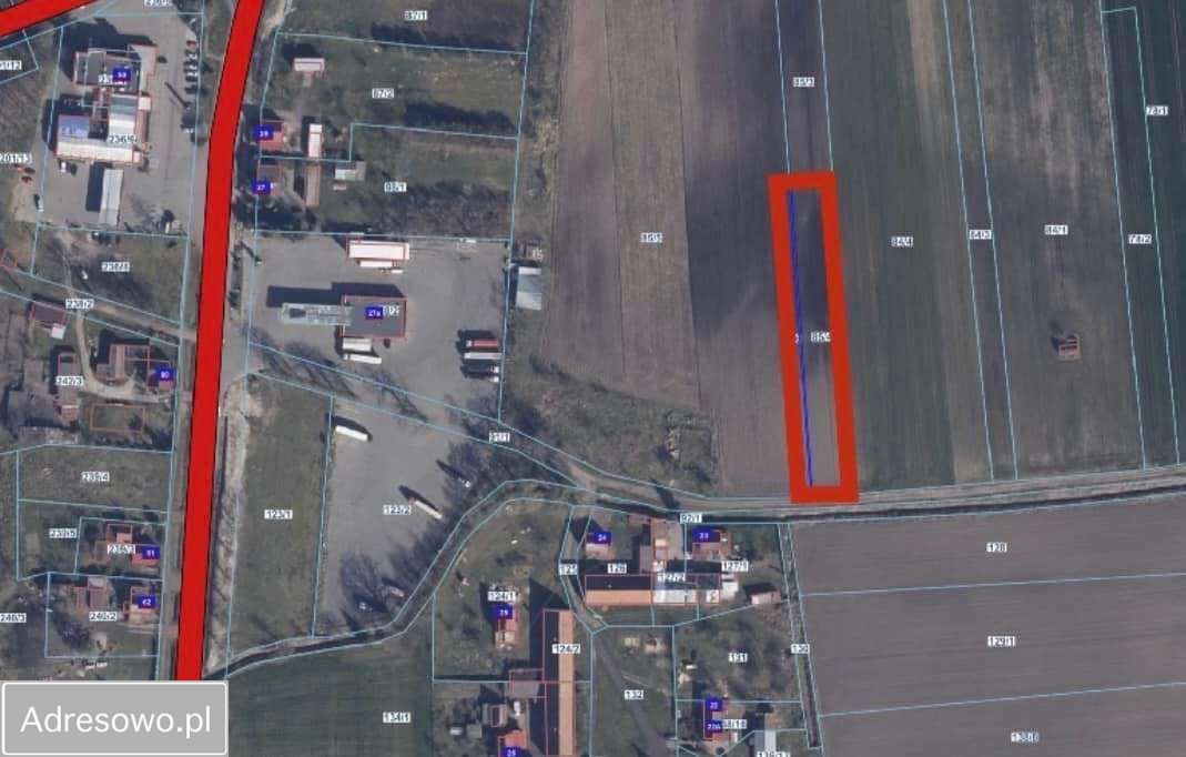 Działka budowlana Renice. Zdjęcie 2