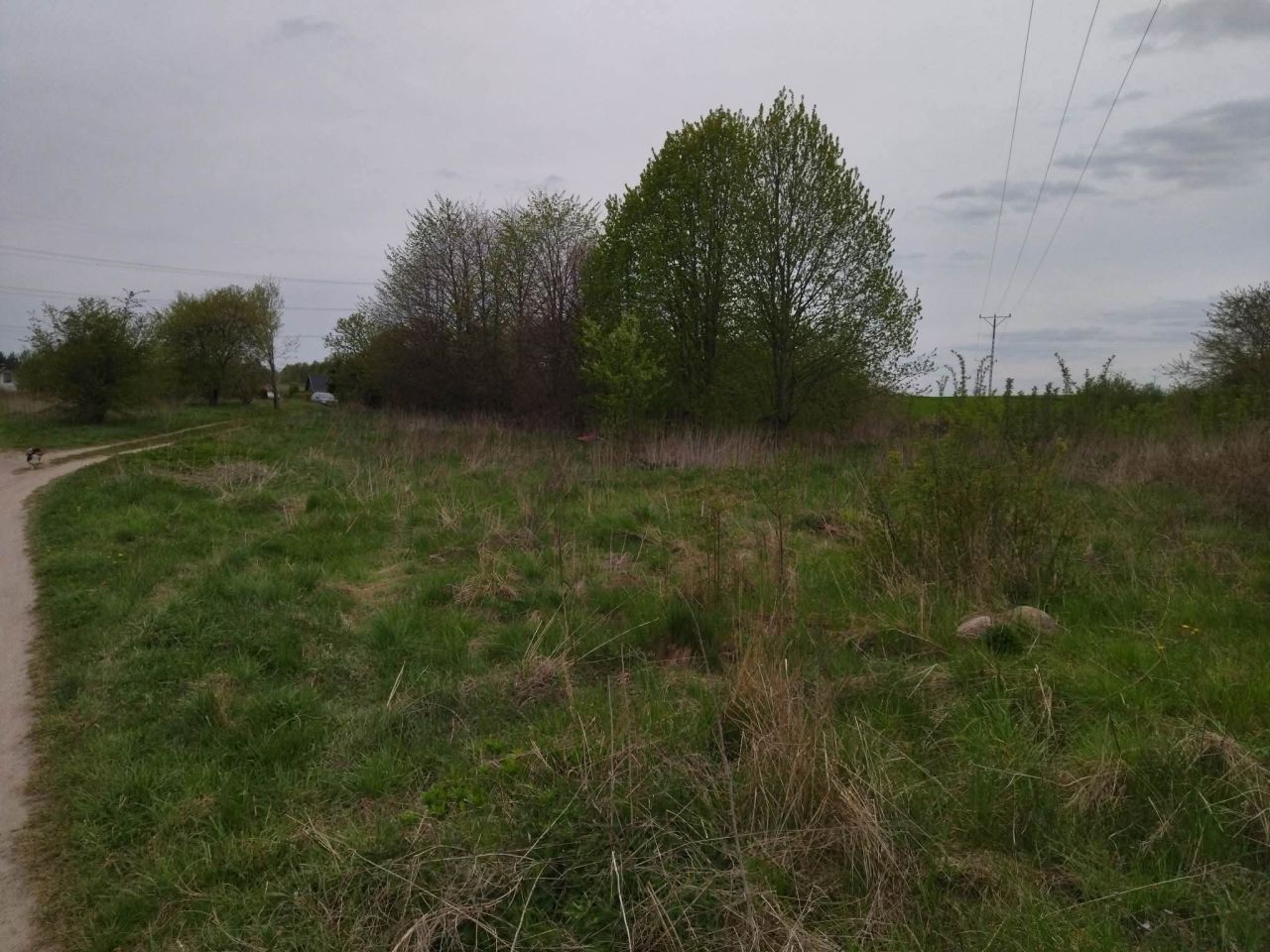 Działka budowlana Dźwierzuty, Dźwierzuty. Zdjęcie 7