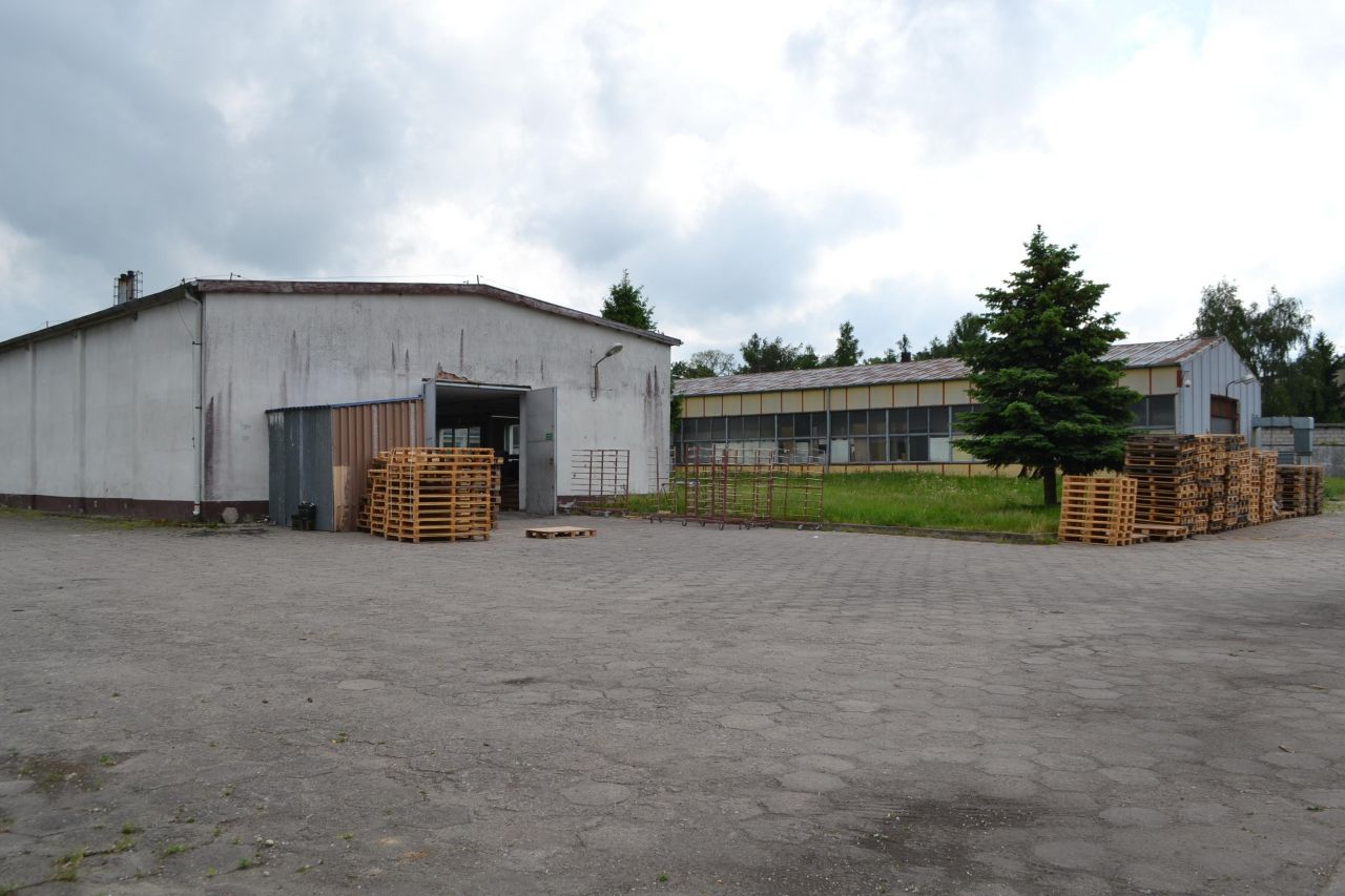 Hala/magazyn Złotniki Kujawskie, ul. Jęczmienna. Zdjęcie 7