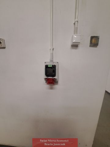 Lokal Wrocław Popowice. Zdjęcie 11