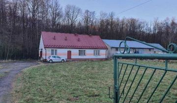 Lokal Łysa Góra