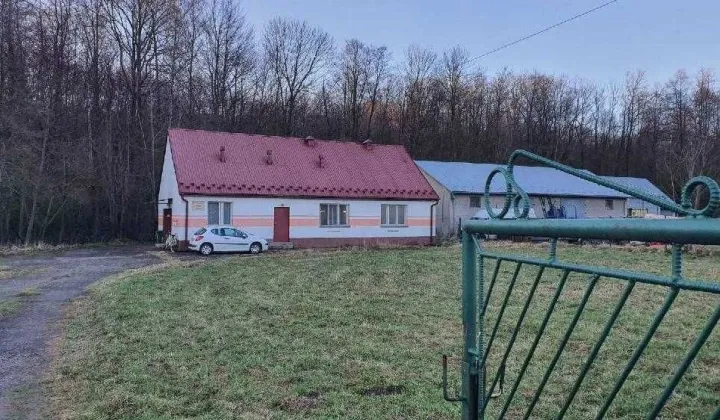 Lokal Łysa Góra
