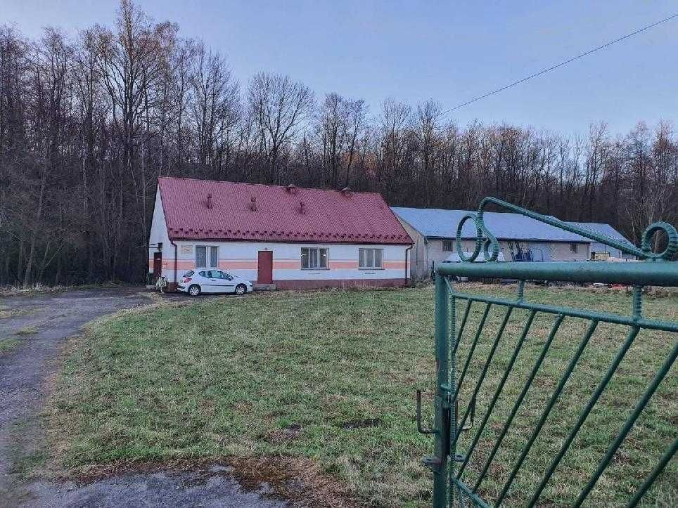 Lokal Łysa Góra