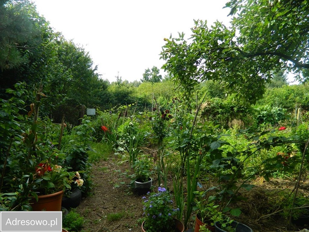 dom wolnostojący, 3 pokoje Mława, ul. Ceglana. Zdjęcie 18