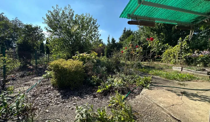 Działka rod Warszawa