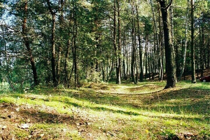Działka budowlana Arciechów, ul. Jemiołuszki. Zdjęcie 4