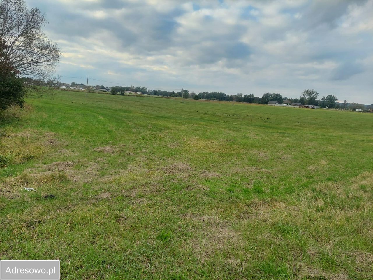 Działka rolno-budowlana Pławin. Zdjęcie 6