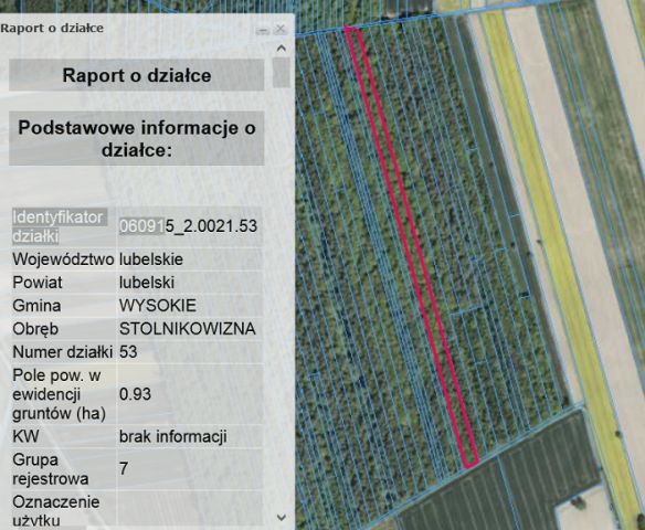 Działka leśna Stolnikowizna. Zdjęcie 1