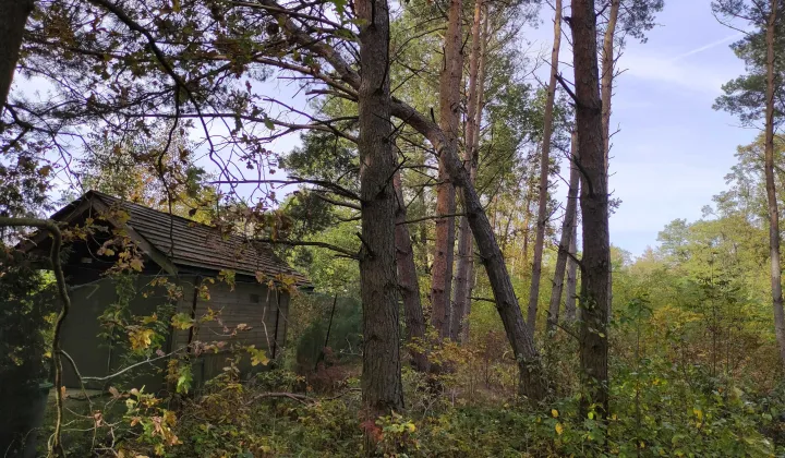 Działka budowlana Mariampol