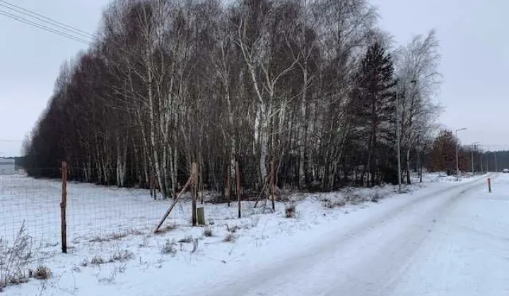 Działka rolna Trzciniec, ul. Laskowa