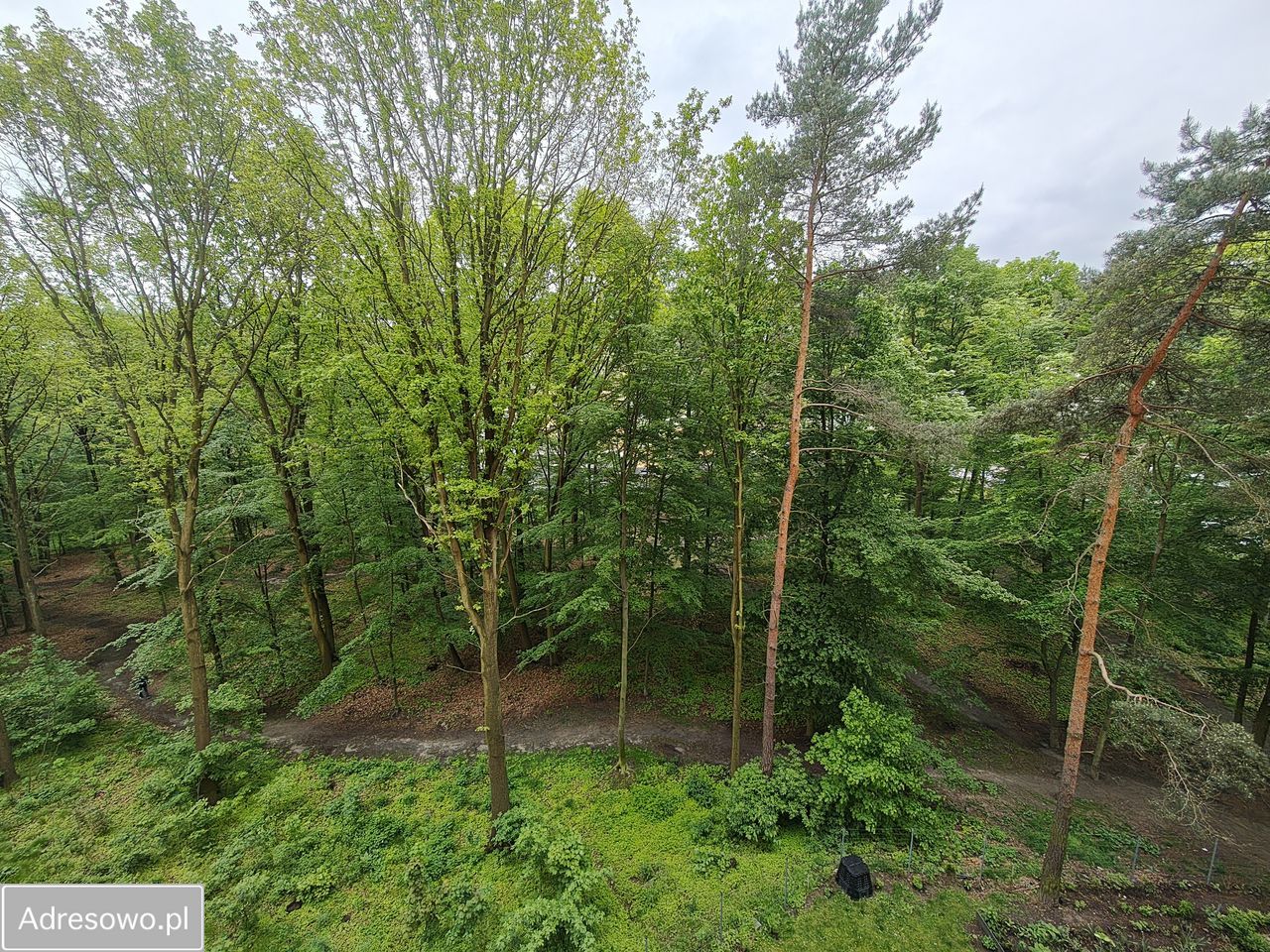Mieszkanie 3-pokojowe Katowice Giszowiec, ul. Adama. Zdjęcie 9