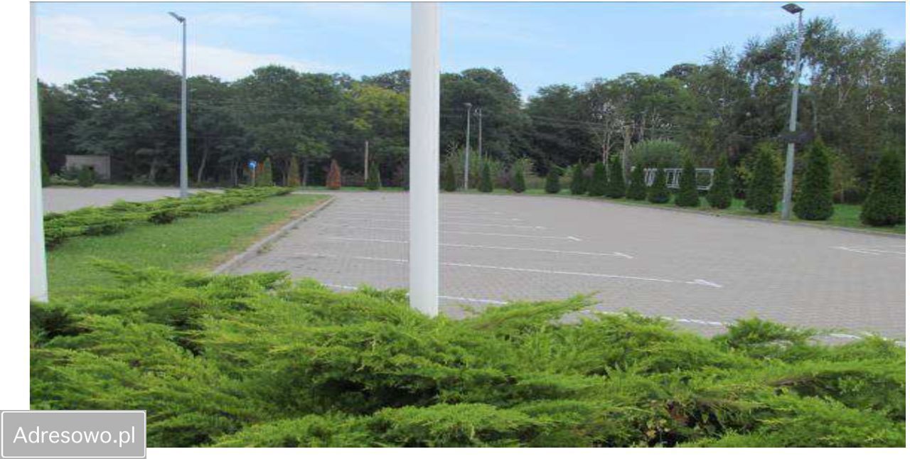 Lokal Bieniewo-Parcela. Zdjęcie 10