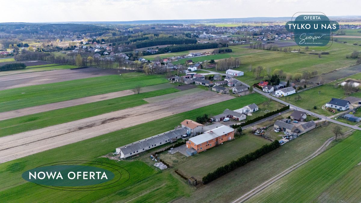 Lokal Polichno. Zdjęcie 12