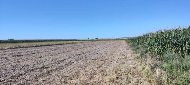 Działka rolna Krupe. Zdjęcie 1