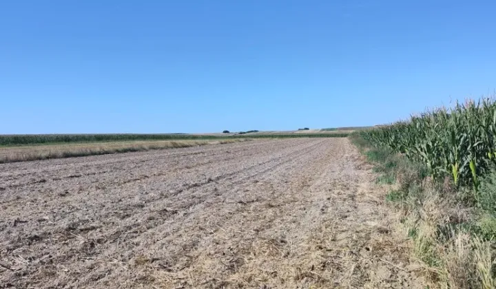 Działka rolna Krupe