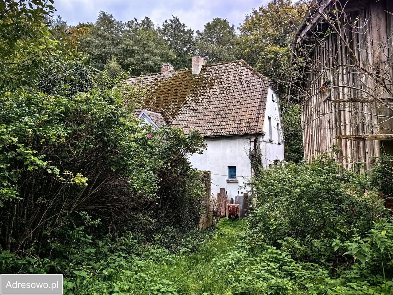 dom wolnostojący, 6 pokoi Bychowo. Zdjęcie 6