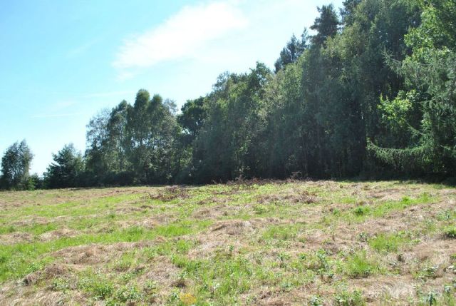 Działka budowlana Kęty Podlesie. Zdjęcie 4