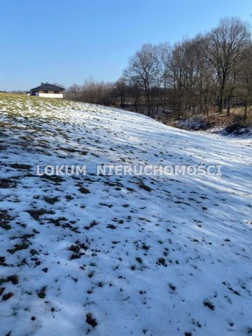 Działka Jastrzębie-Zdrój, ul. Zamłynie. Zdjęcie 1