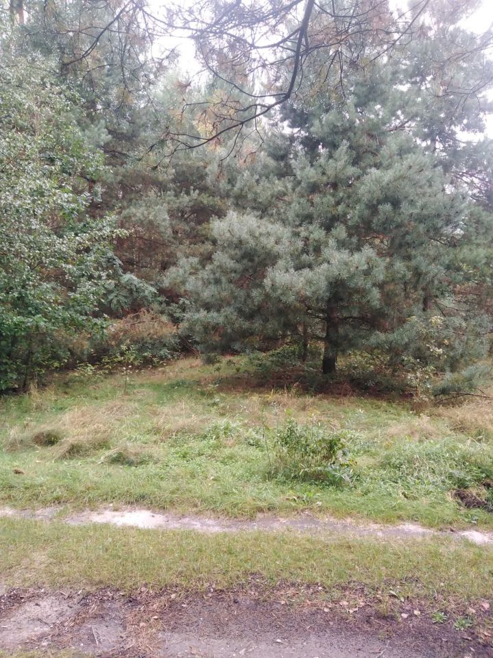 Działka rekreacyjna Złoty Potok, ul. mjr. Wrzoska. Zdjęcie 7