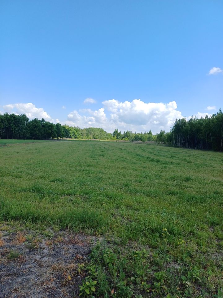 Działka budowlana Lubasz. Zdjęcie 2