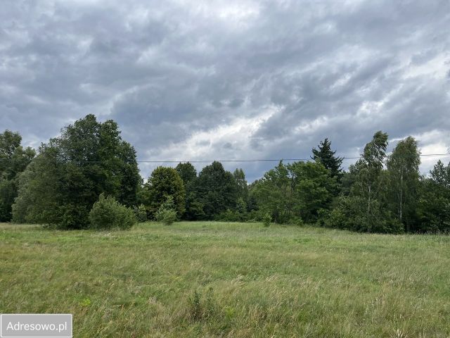 Działka budowlana Kalinowo. Zdjęcie 1