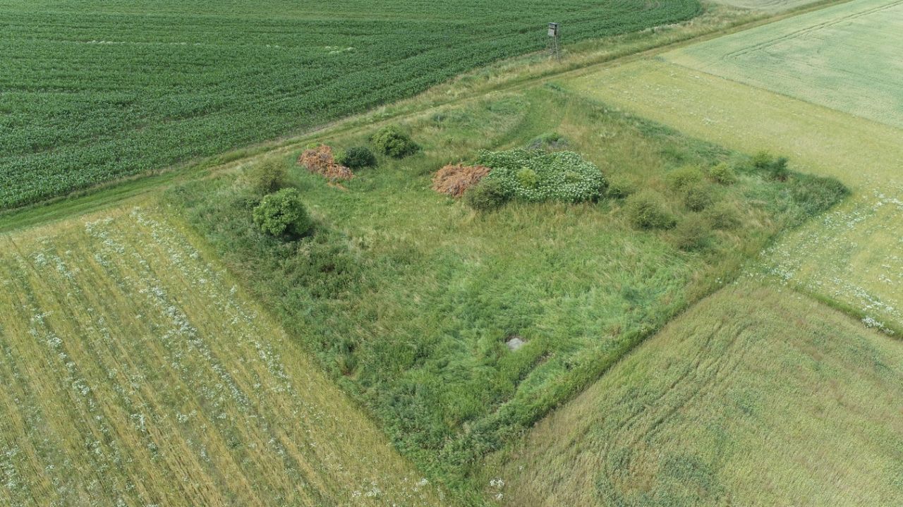 Działka inwestycyjna Ligota Dolna. Zdjęcie 11