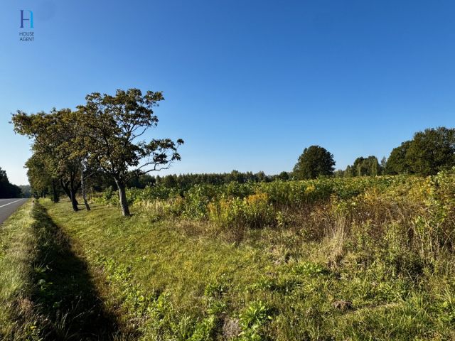 Działka inwestycyjna Stary Imielnik. Zdjęcie 8