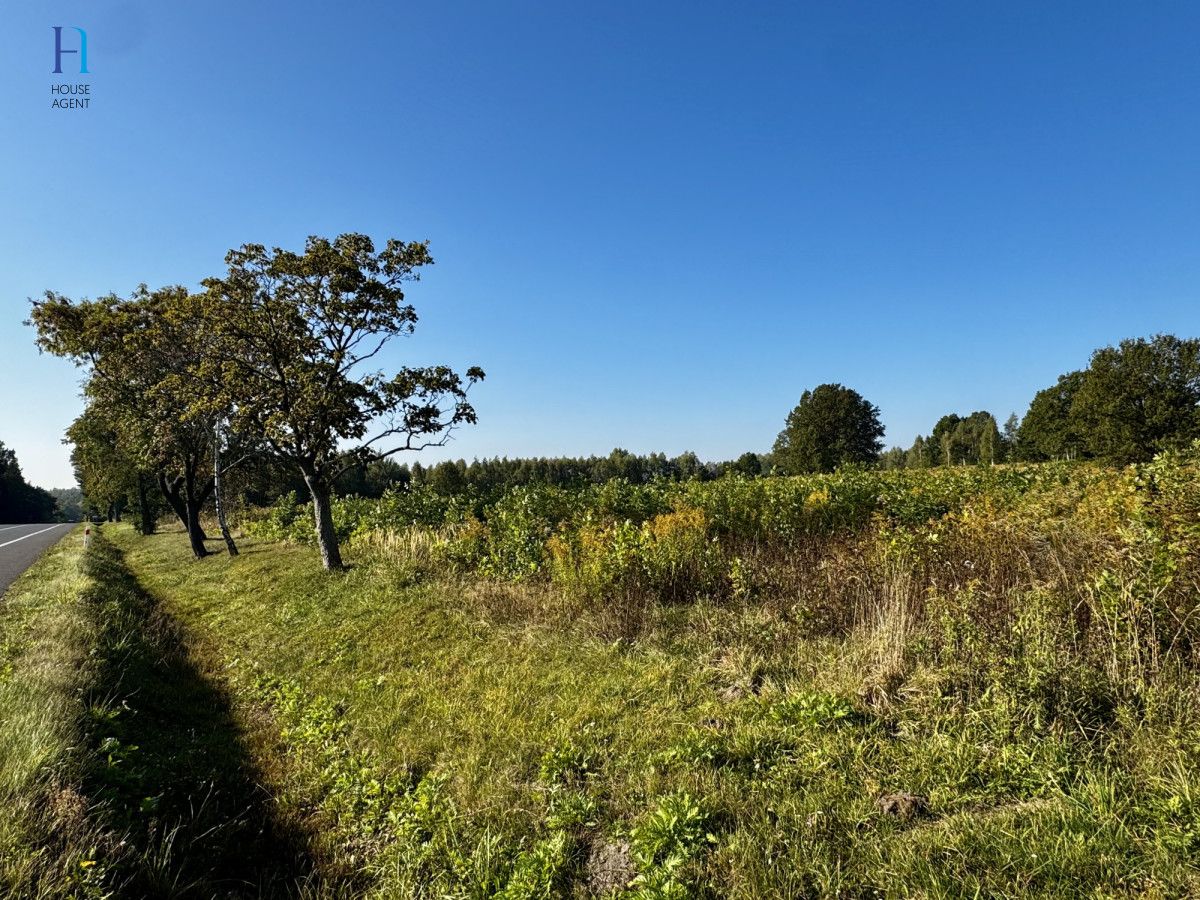 Działka inwestycyjna Stary Imielnik. Zdjęcie 8