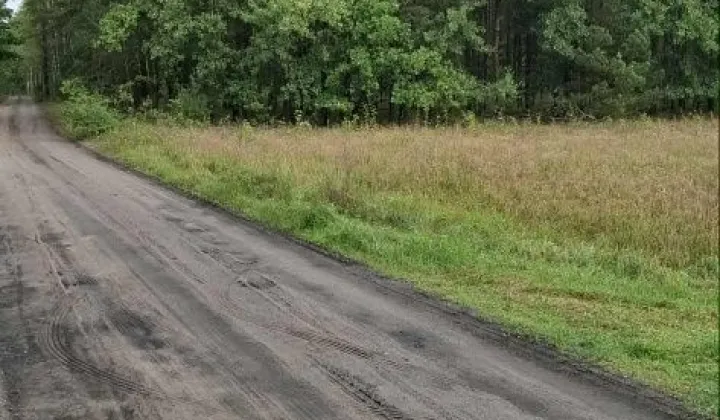 Działka leśna Olszyny