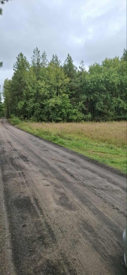 Działka leśna Olszyny