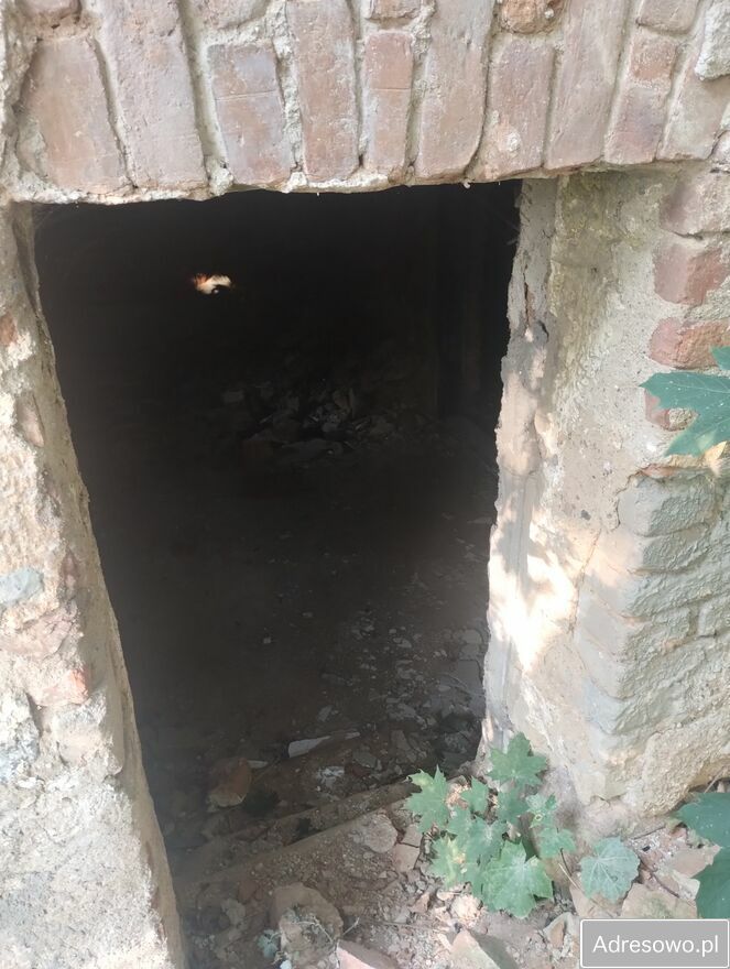 Działka budowlana Jankowice. Zdjęcie 3