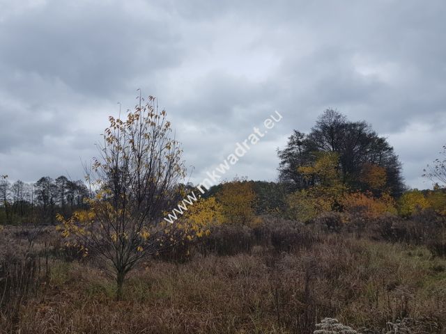 Działka budowlana Milanówek. Zdjęcie 7