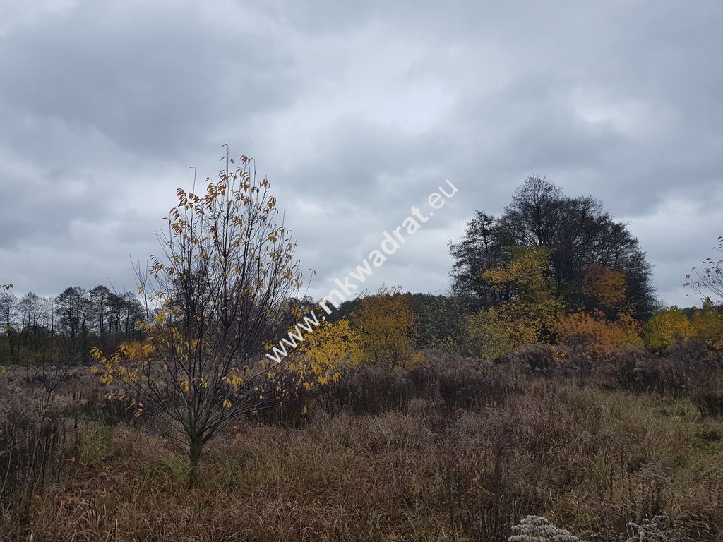 Działka budowlana Milanówek. Zdjęcie 7