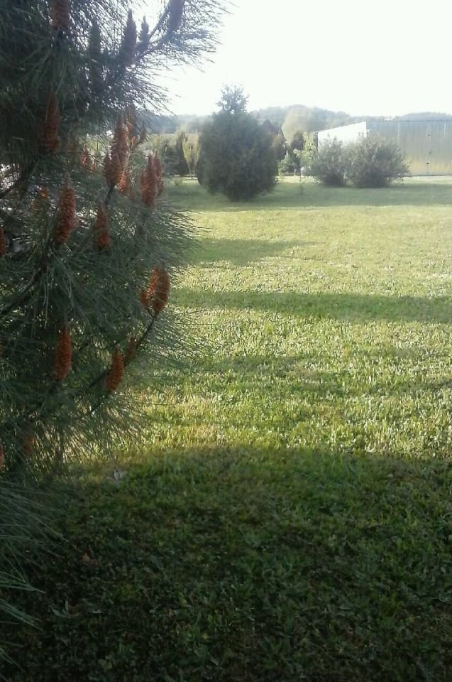 Działka budowlana Gorzów Wielkopolski Wieprzyce, ul. Dolna. Zdjęcie 15