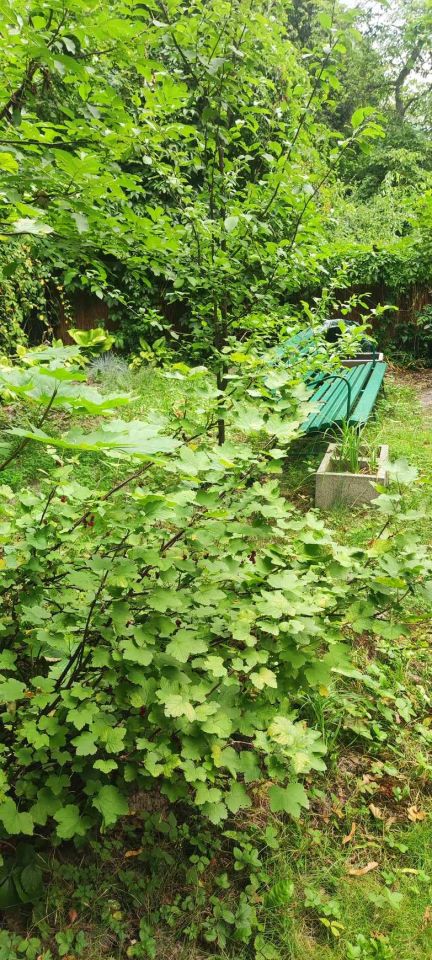 Działka rod Warszawa Mokotów, ul. Racławicka. Zdjęcie 11